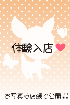 体験入店B